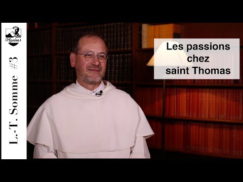L.-T. Somme #3 : Les passions chez saint Thomas (I-II, 22-48)